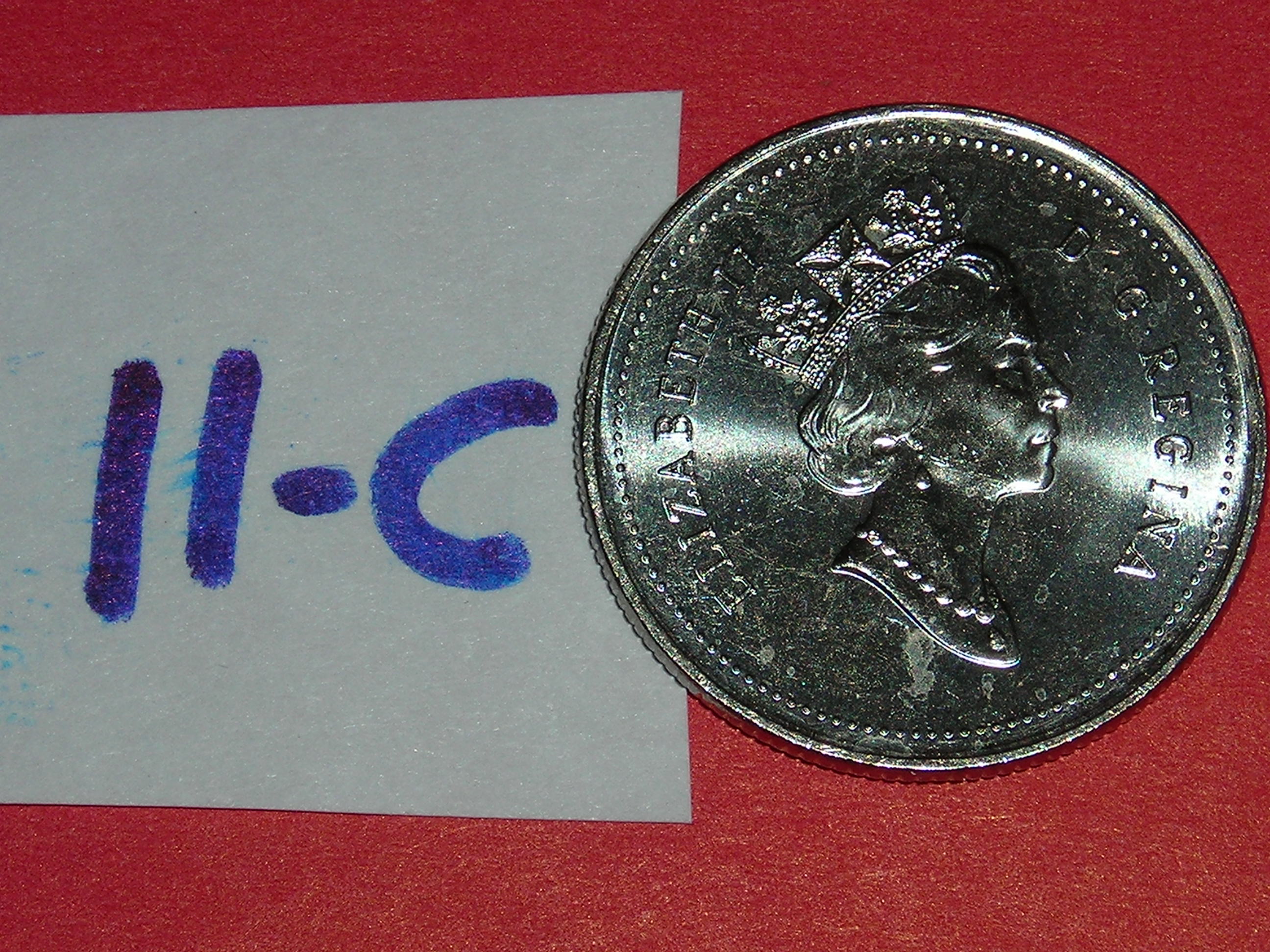 DSCN4298.JPG