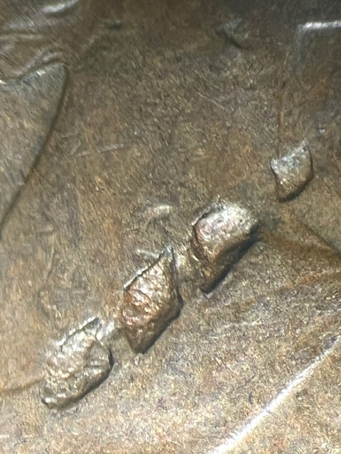 IMG_2311.jpeg