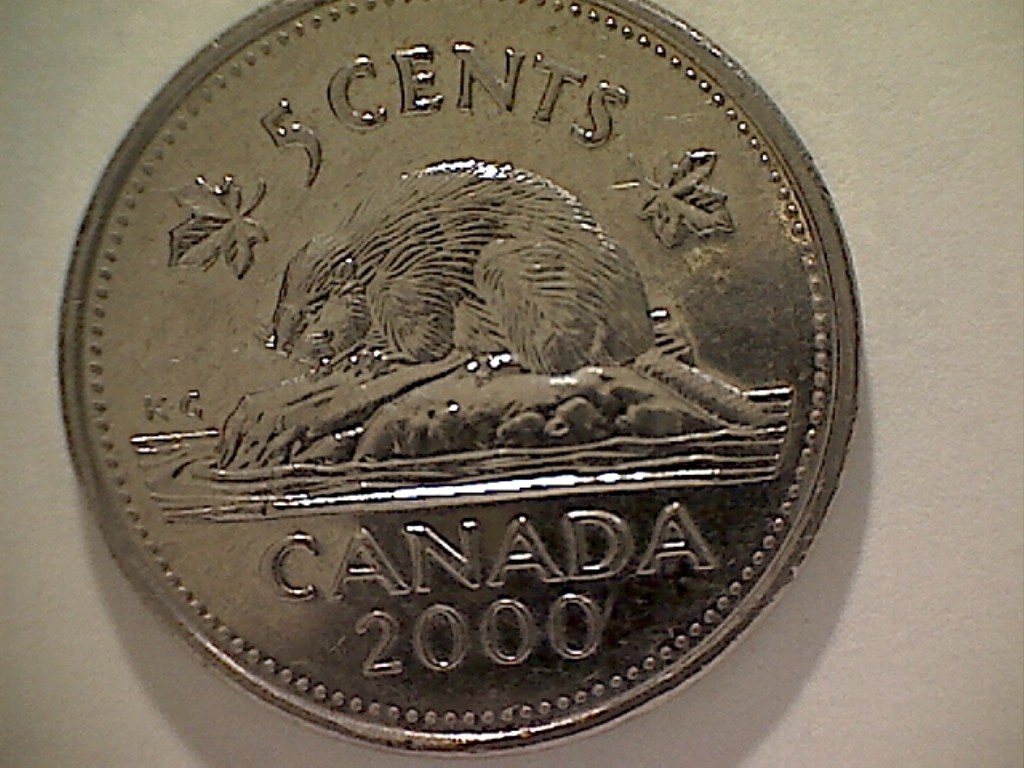 5 CENTS 2000 Queue tronquée B525011C Revers.jpg