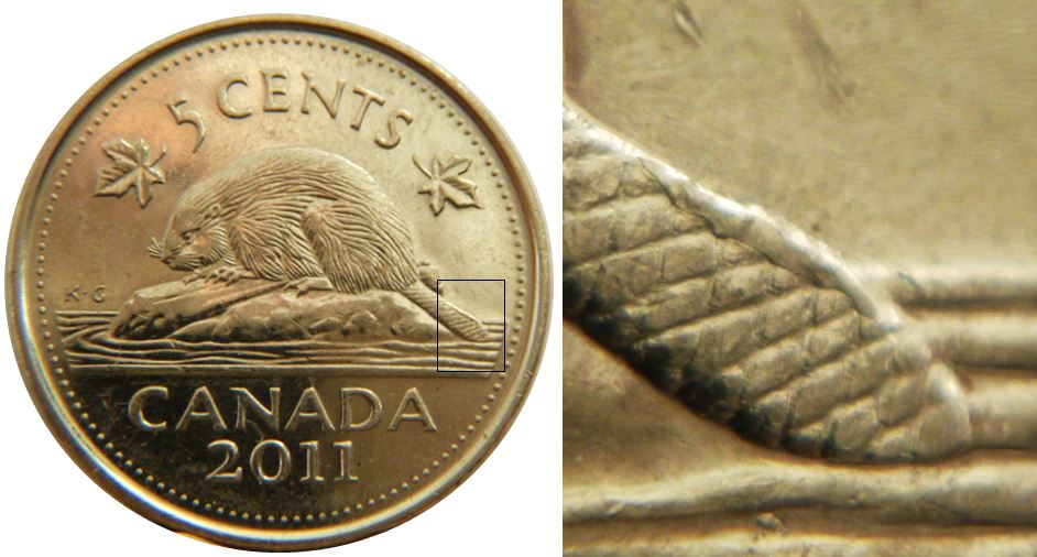 5 Cents 2011-Éclat coin sur la queue du castor-1.JPG