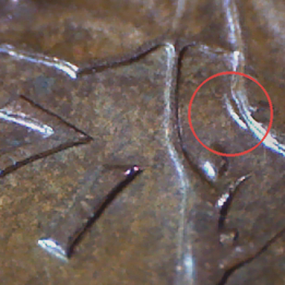 1 1c 1971 oreille du roi.jpg