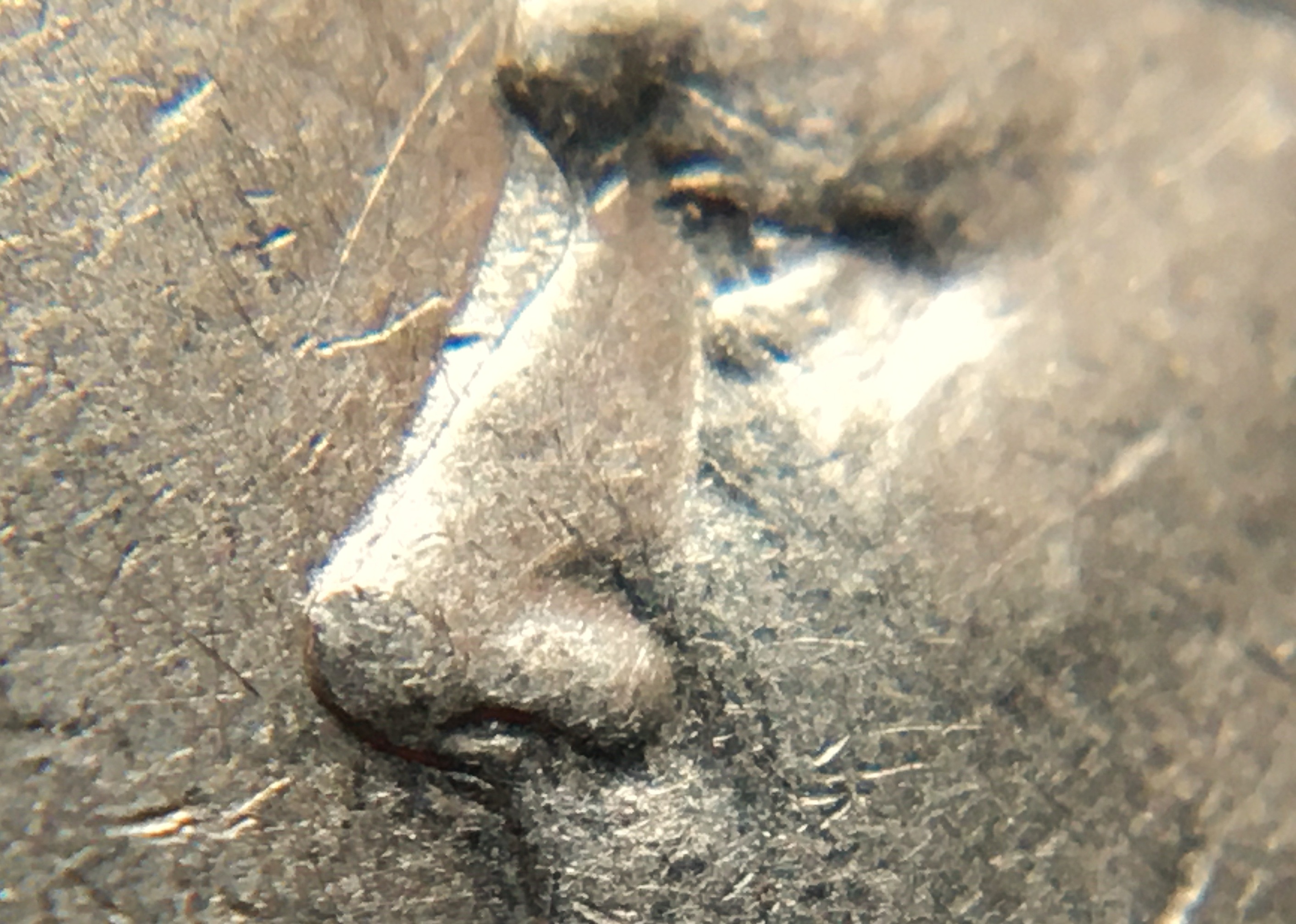 5 cents 1949 détails nez.JPG