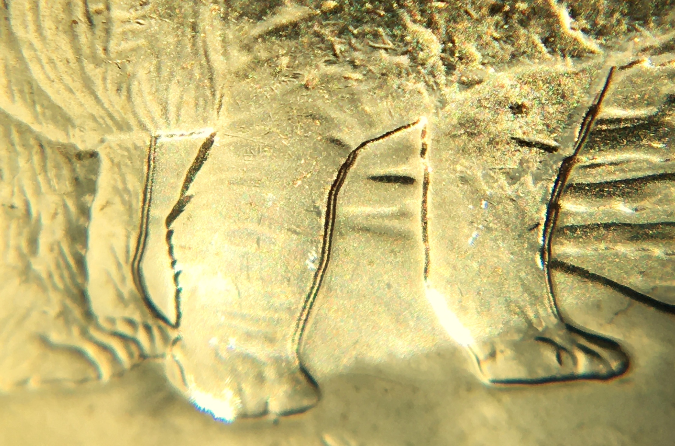 2 dollars 2025 7 pattes.JPG