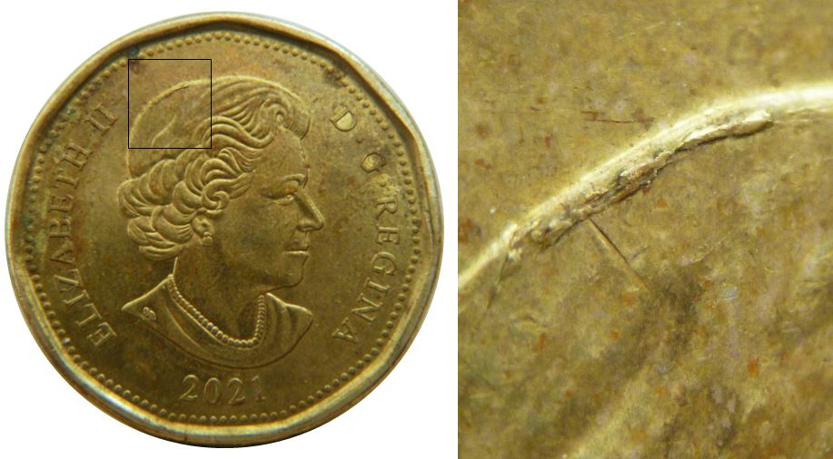 1 Dollars 2021-Éclat coin sur la tête de effigie.un Kippa-1,.JPG