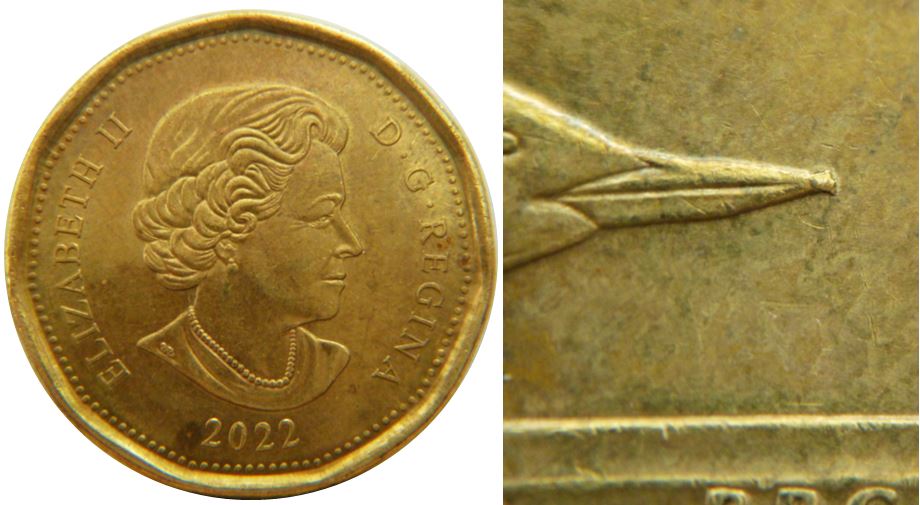 1 Dollars 2022-Éclat coin sur le bec du huard-No.2,.JPG