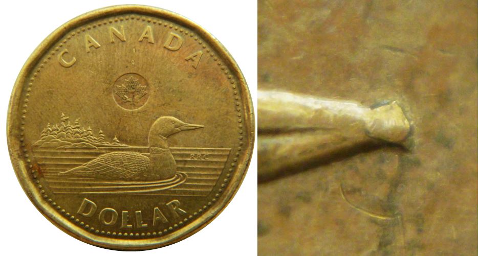 1 Dollars 2022-Éclat coin sur le bec du huard-No.2.JPG