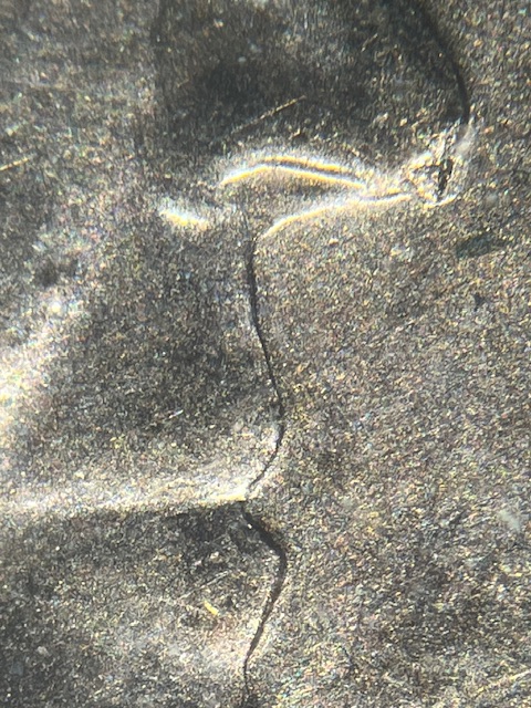 IMG_2615.jpeg