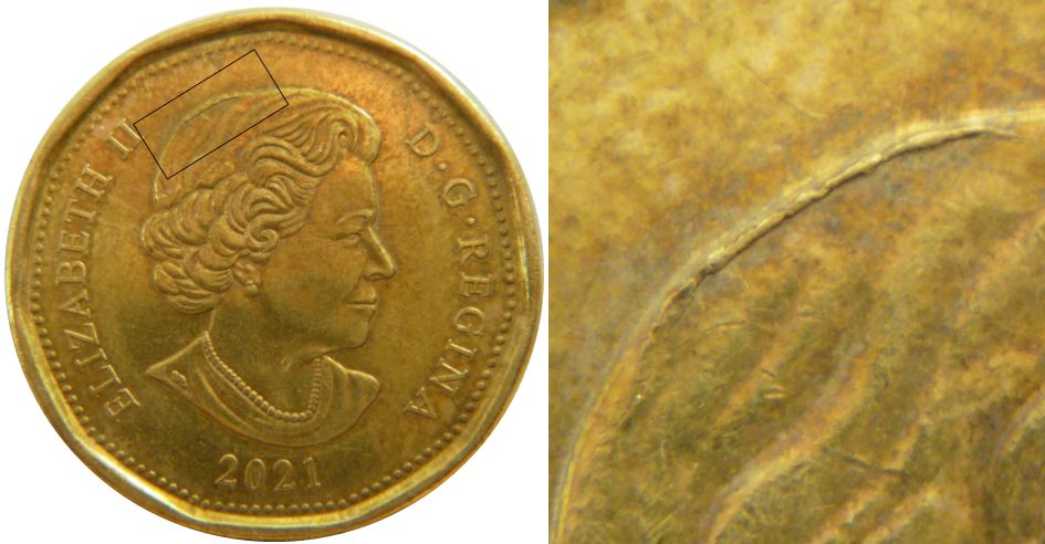 1 Dollars 2021-Éclat coin sur la tête de effigie.un Kippa-No.2.JPG