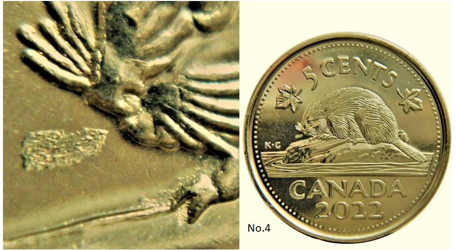 5 Cents 2022-Dépôt métal devant bouche du castor-No.4.JPG