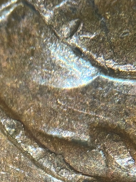 IMG_2951.jpeg