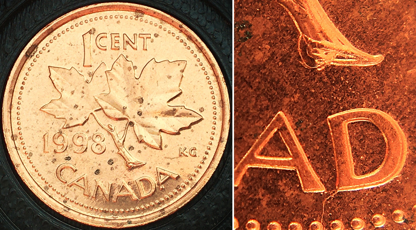 1 cent 1998 revers 1 assemblé 40.jpg