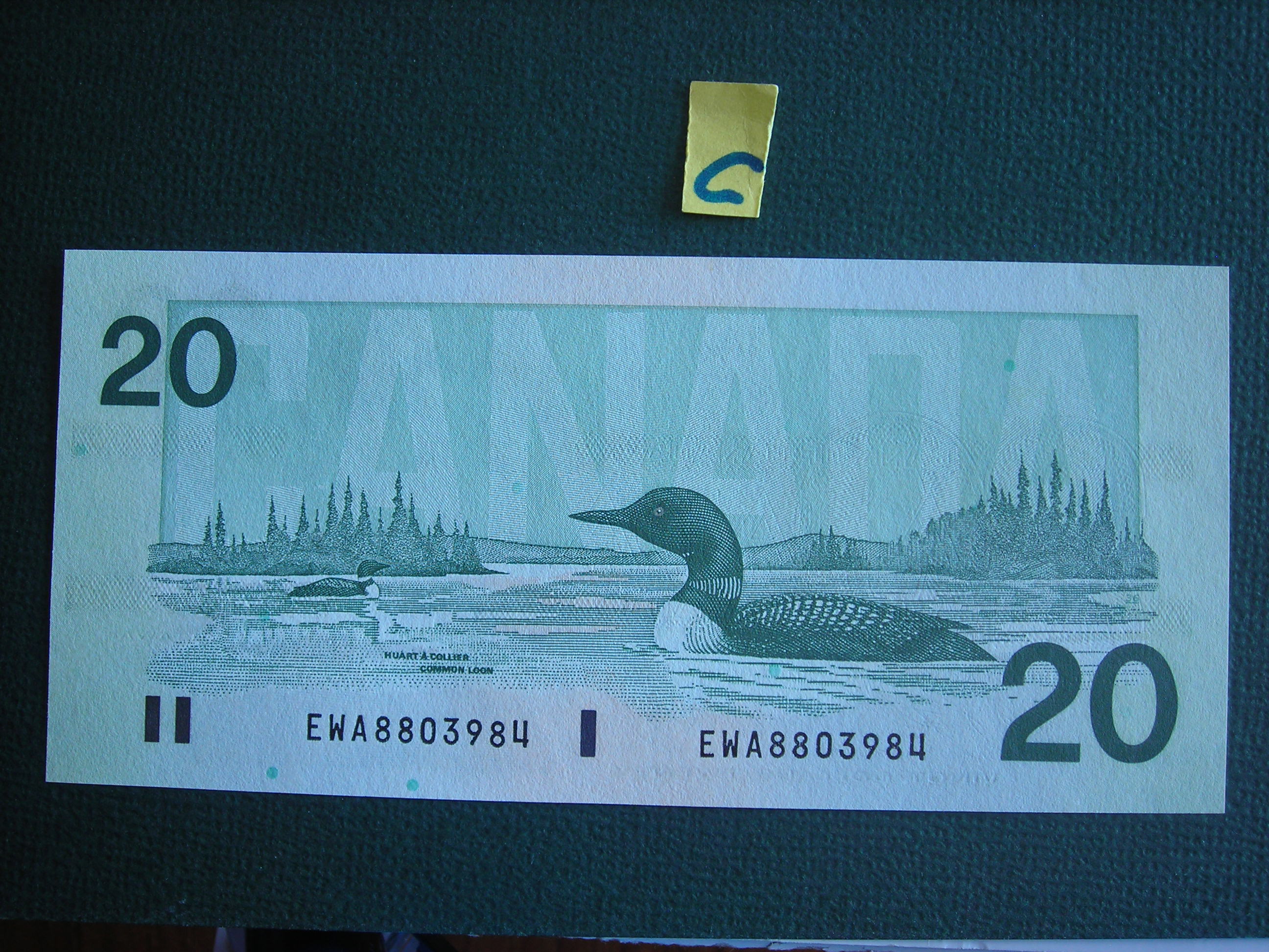 DSCN2068.JPG