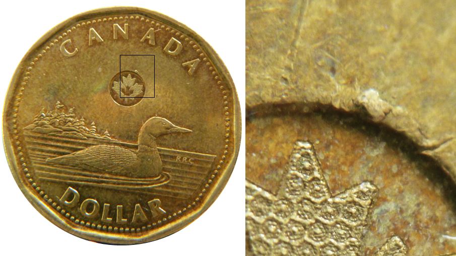 1 Dollars 2018-Éclat coin au dessus de la feuille-2.JPG