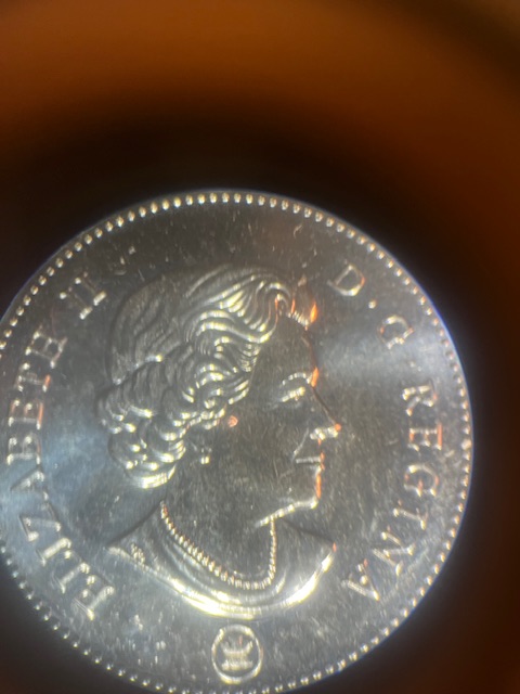 IMG_3330.jpeg