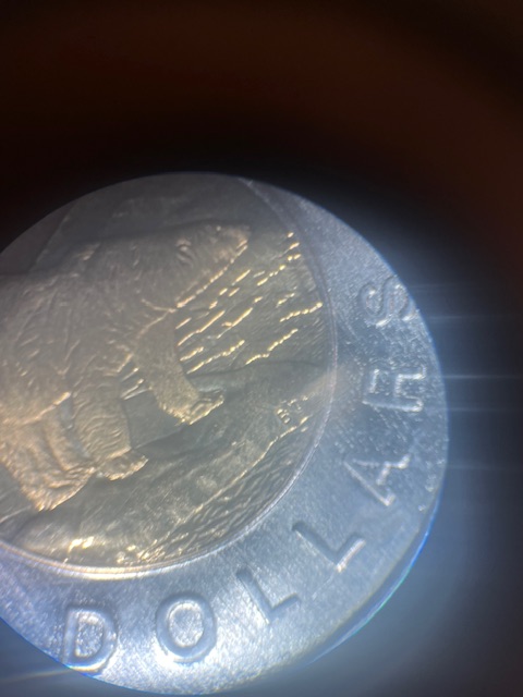 IMG_3415.jpeg