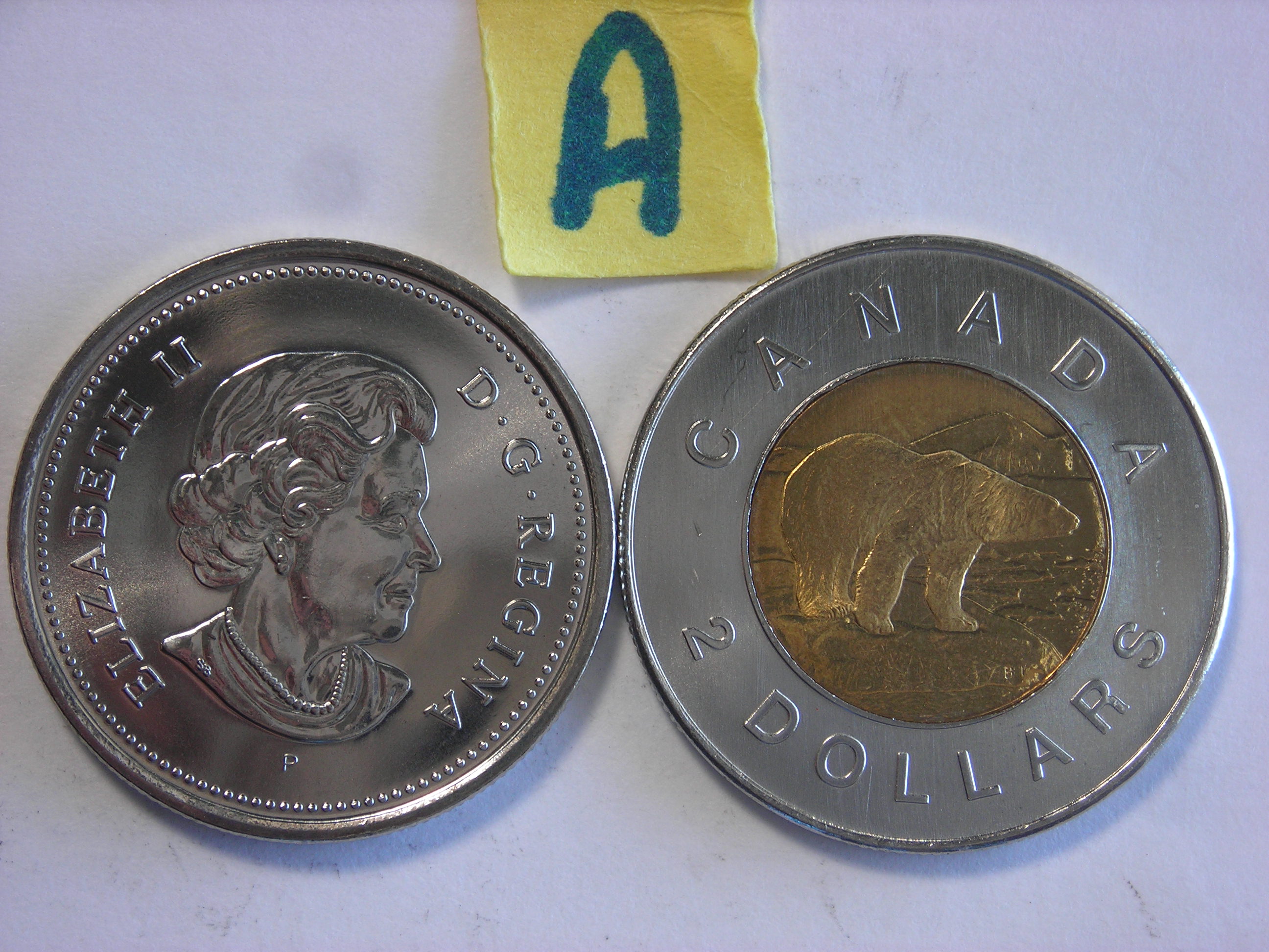DSCN2215.JPG