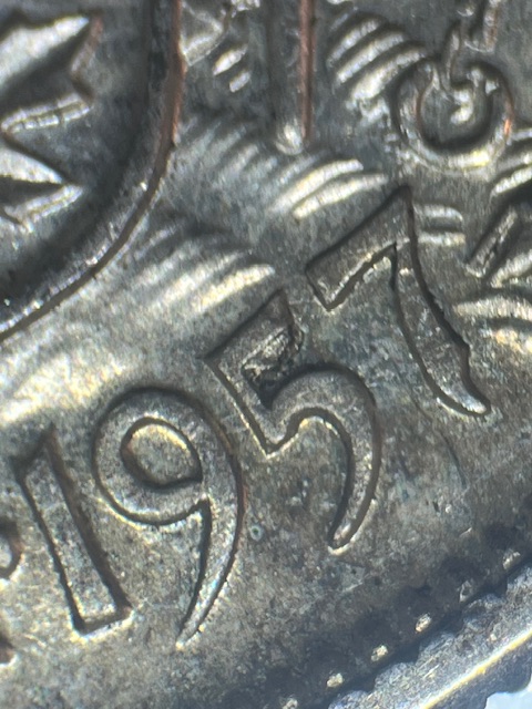 IMG_3512.jpeg