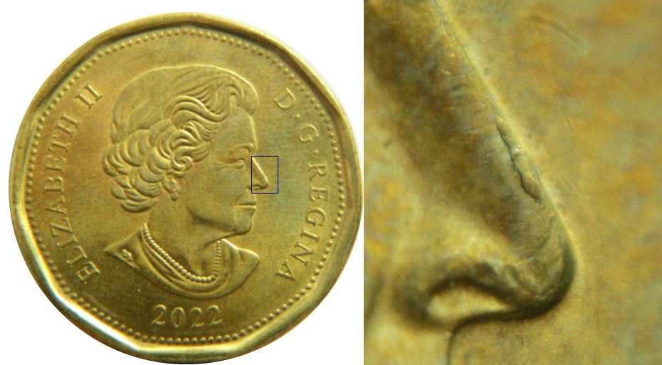 1 Dollar 2022-Éclat coin sur le nez de effigie-1,.JPG