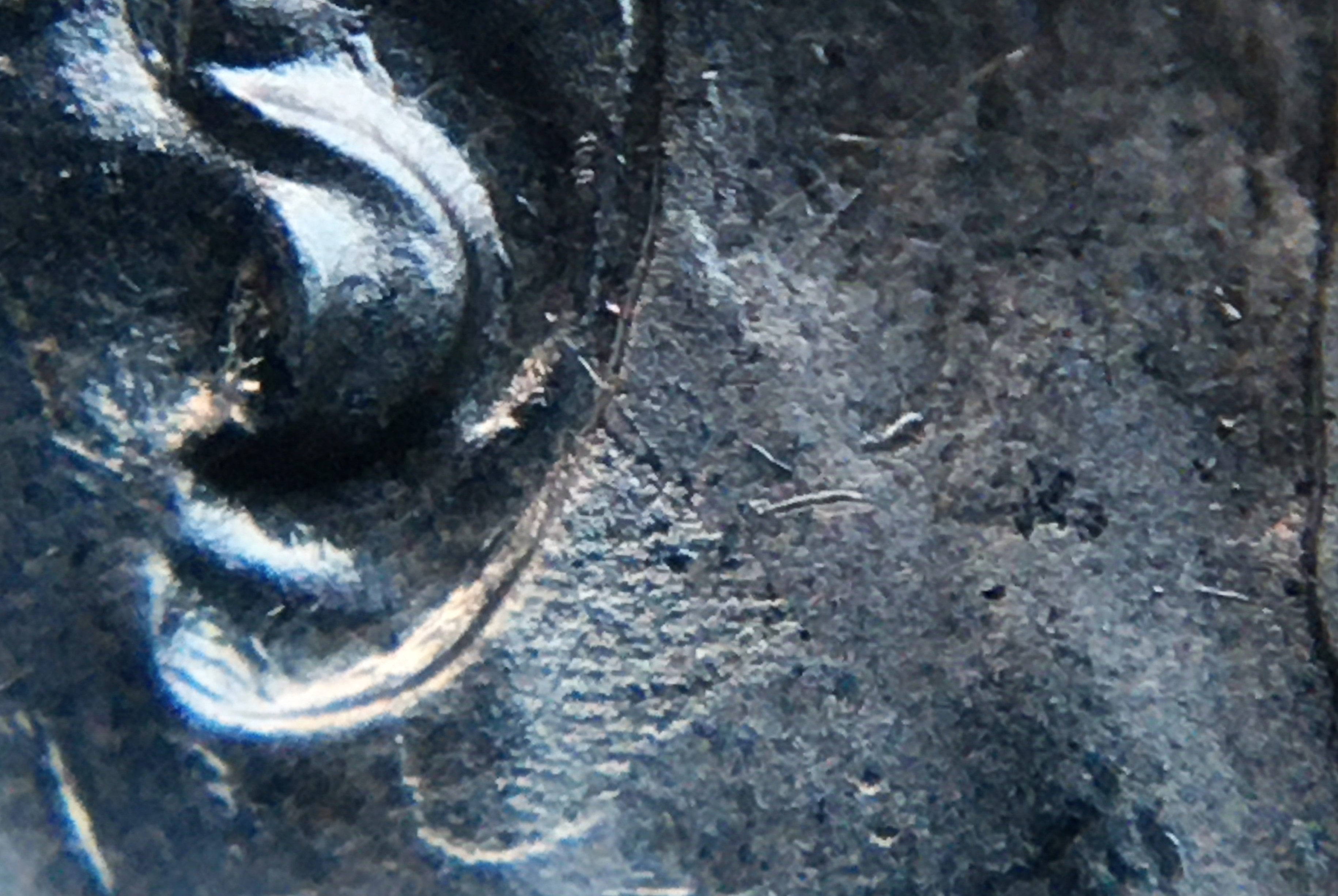 5 cents 1945 extra métal près de l'oreille.JPG