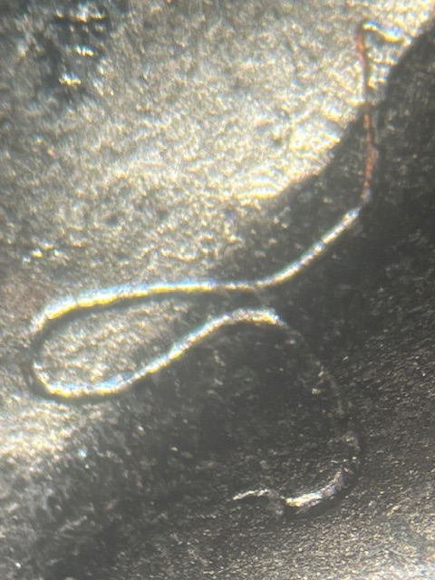 IMG_3729.jpeg