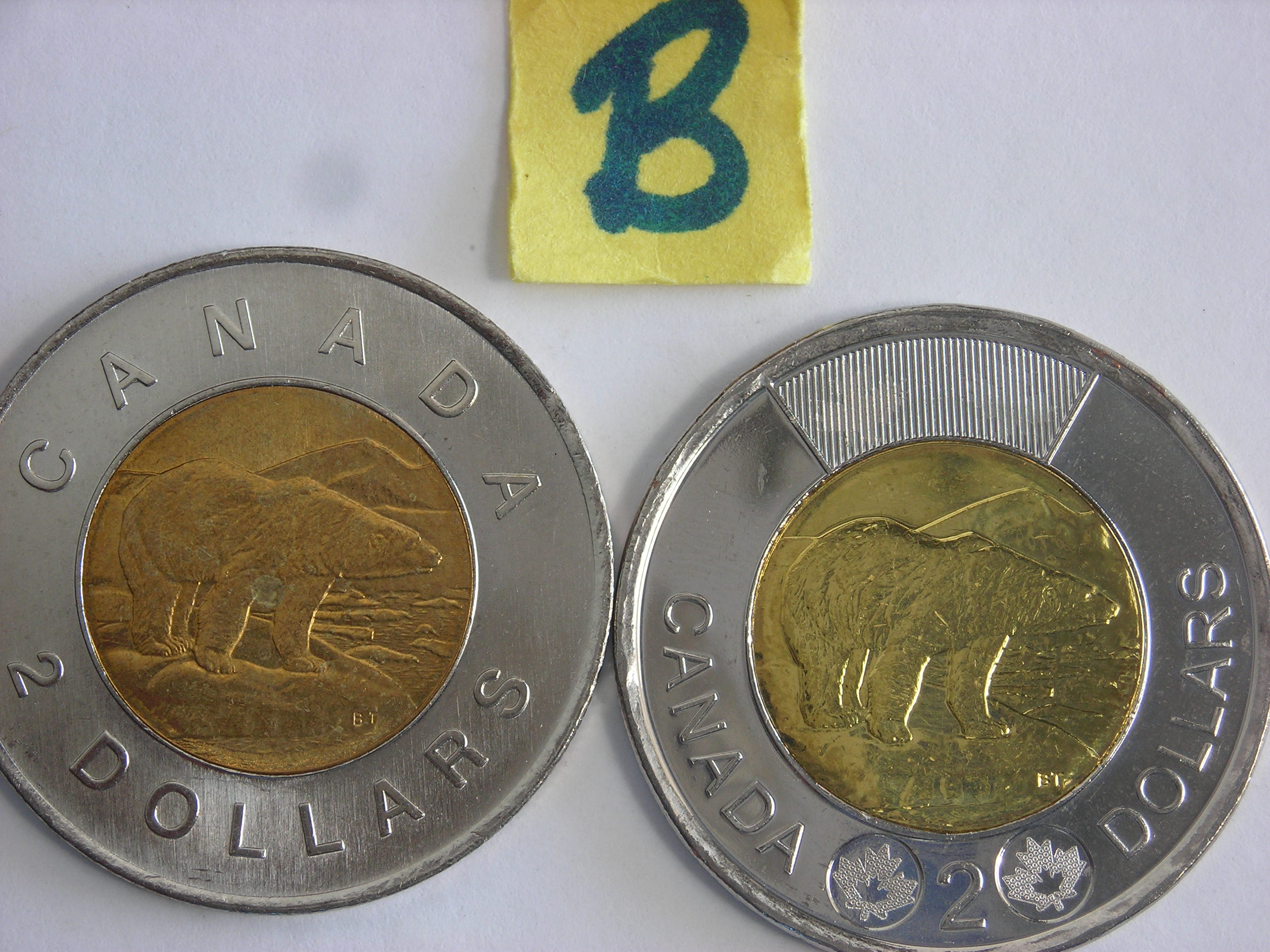 DSCN2449.JPG