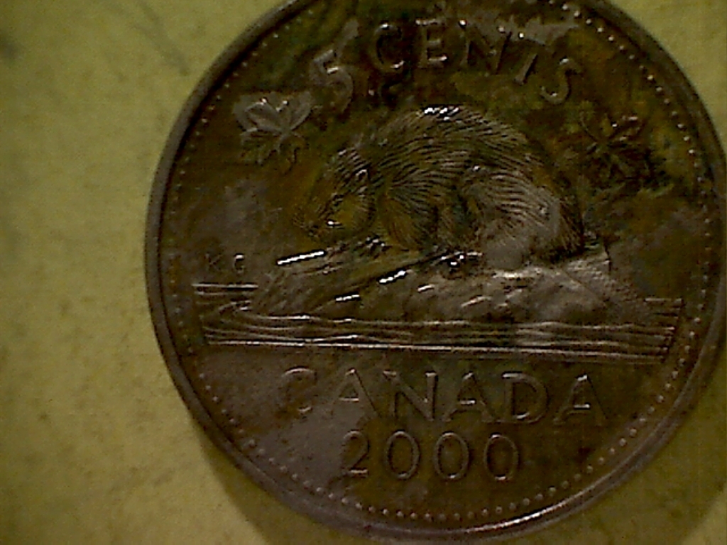5 Cents 2000 Écl. sur dos et fesse B525028D Revers.jpg