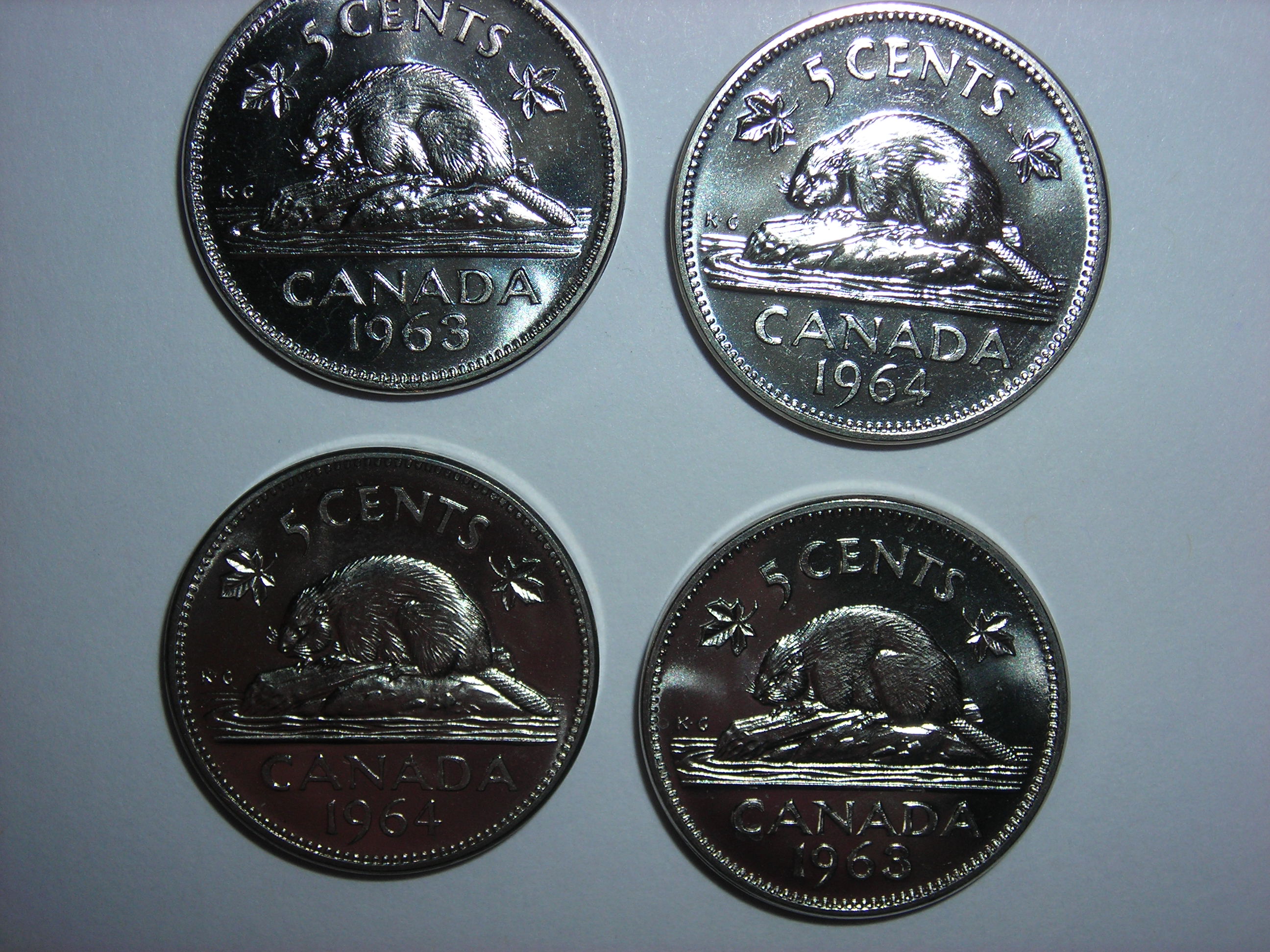 DSCN4330.JPG
