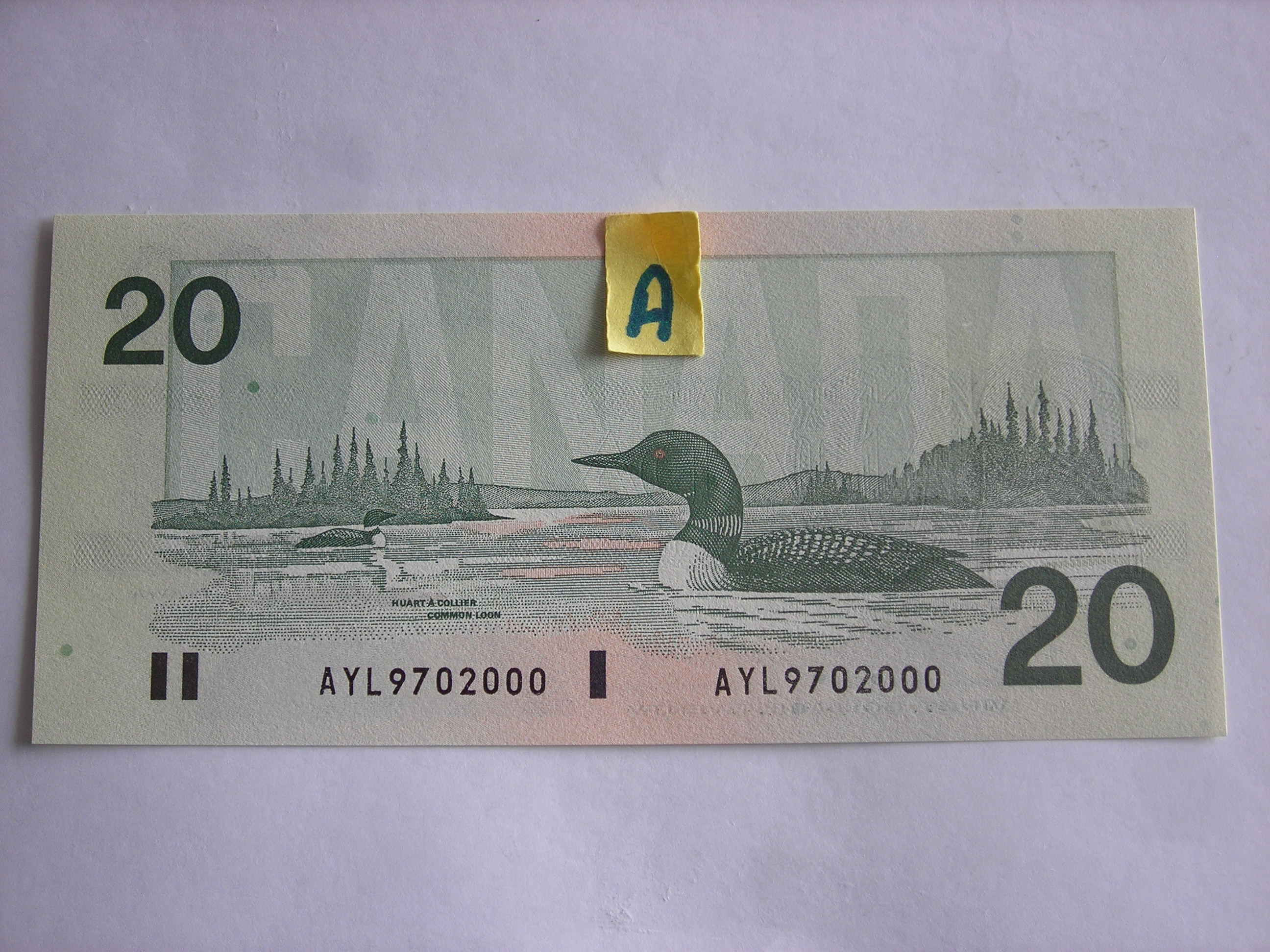 DSCN2527.JPG