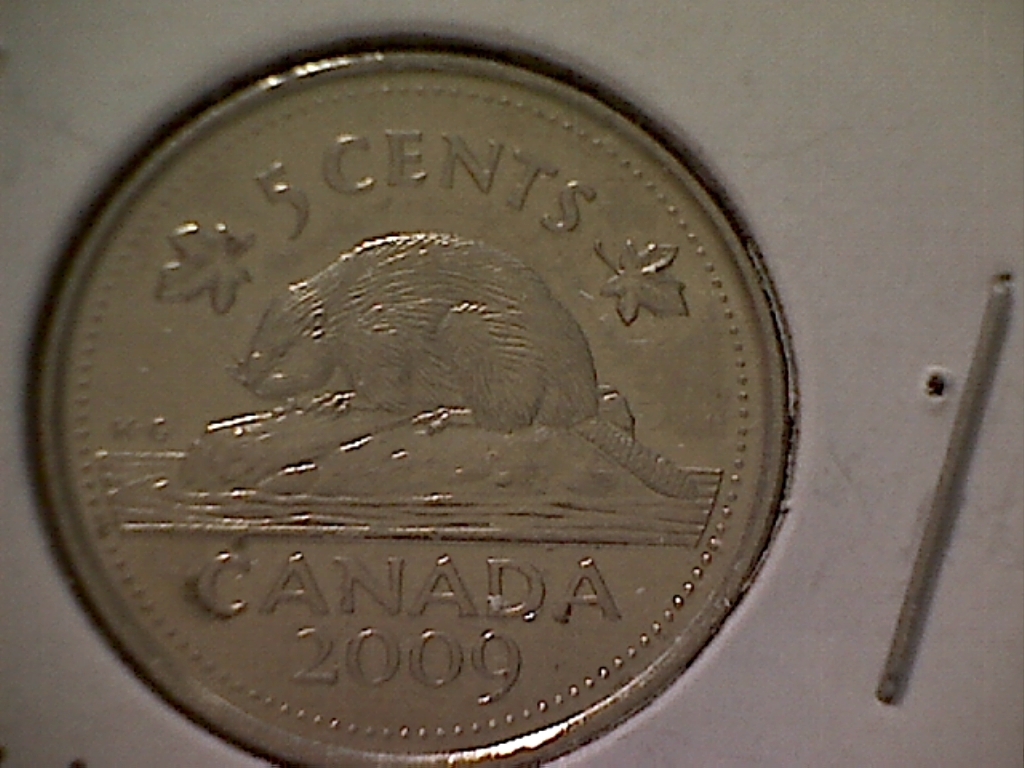 5 CENTS 2009  Éclat. sur le 5 et points autour du 5 B525041D Rever.jpg