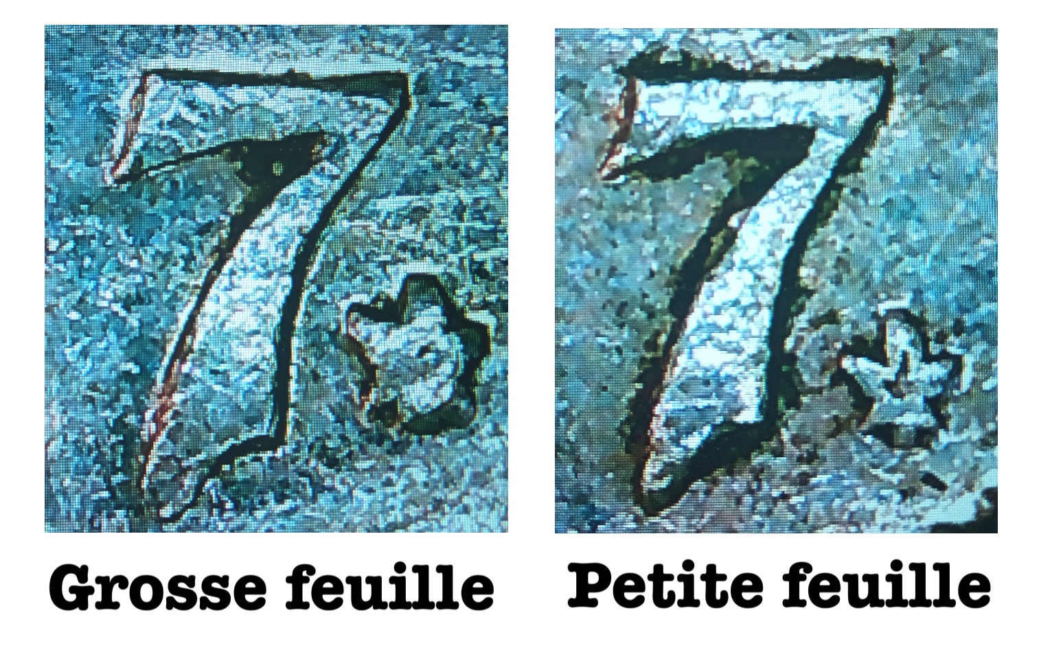 feuille.jpg