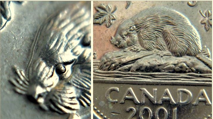5 Cents 2001-Double castor-1,.JPG