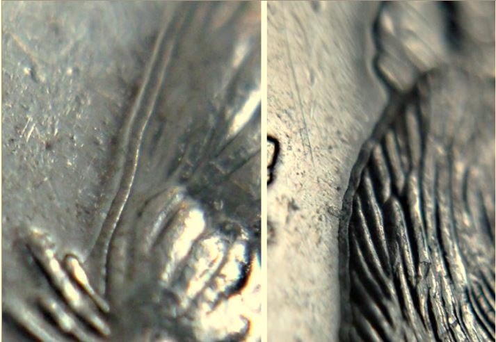 5 Cents 2001-Double castor-1.JPG