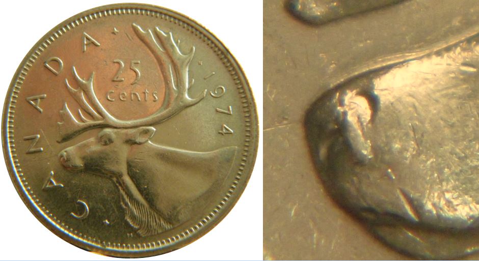25 Cents 1974-Éclat coin sur museau du caribou-1,.JPG