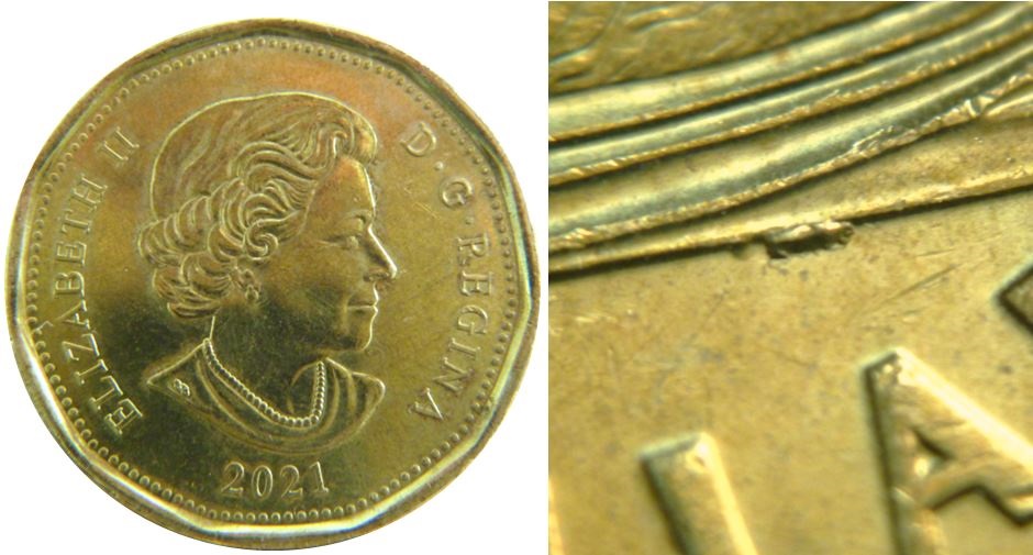 1 Dollar 2021-Éclat coin dans l'arbre-et sous l'eau-1,.JPG