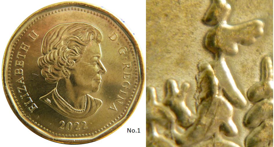 1 Dollar 2022-Éclat coin dans l'arbre-No.1,.JPG