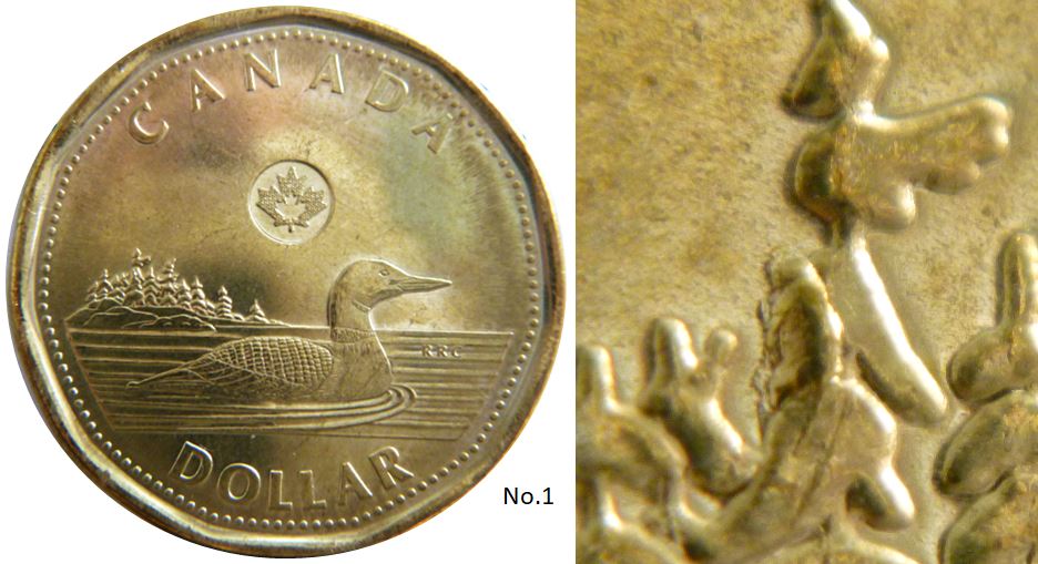 1 Dollar 2022-Éclat coin dans l'arbre-No.1.JPG