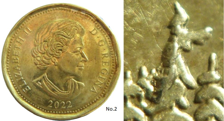 1 Dollar 2022-Éclat coin dans l'arbre-No.2,.JPG