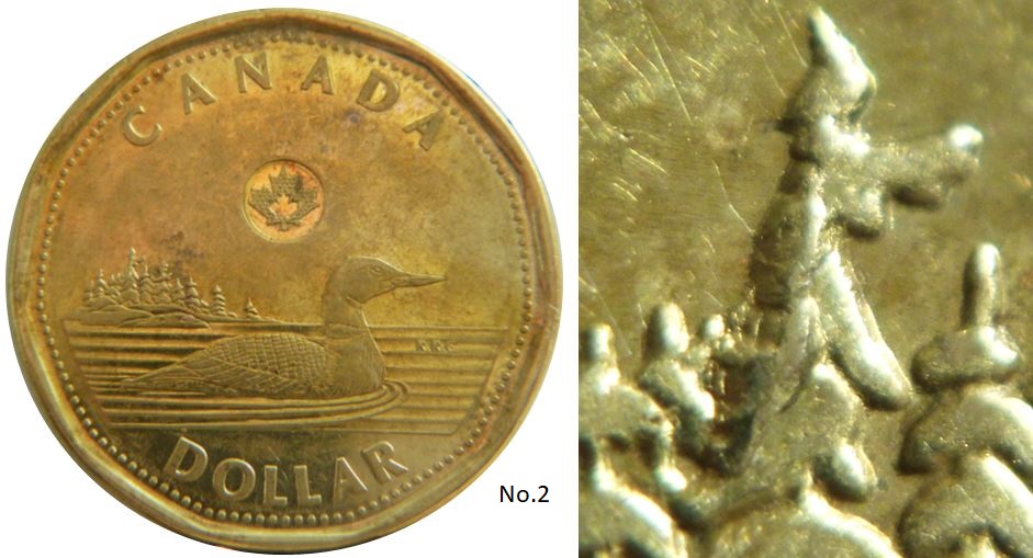 1 Dollar 2022-Éclat coin dans l'arbre-No.2.JPG
