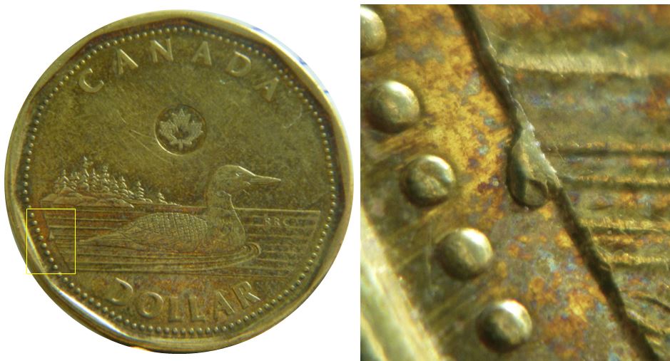 1 dollar 2018-Éclat de coin devant les vagues-1.JPG