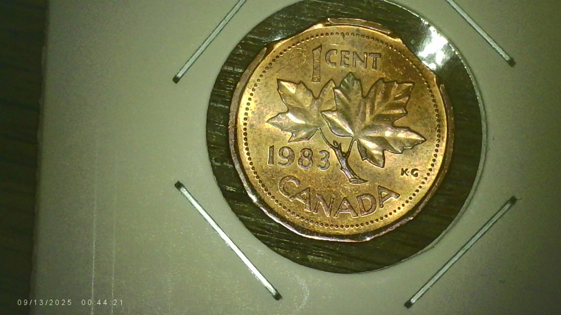 PICA0167.jpg