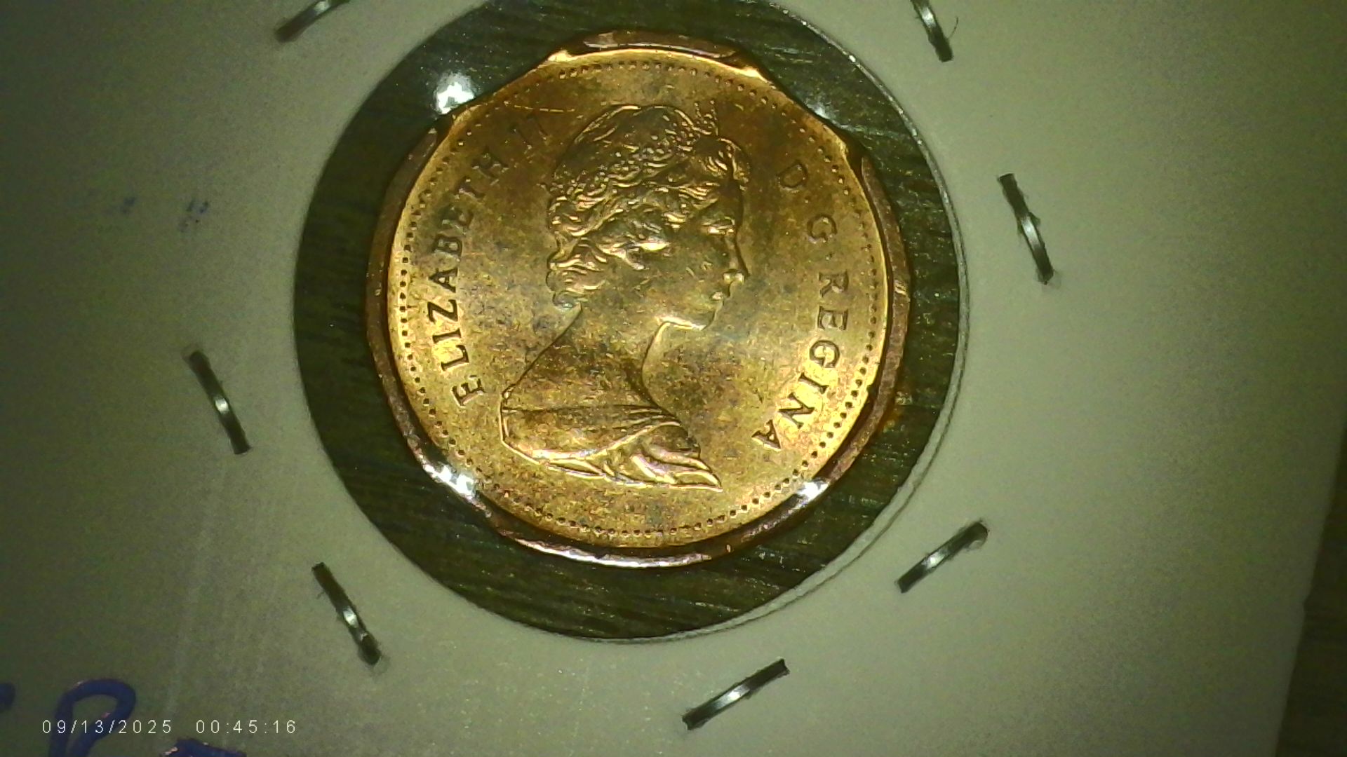 PICA0171.jpg