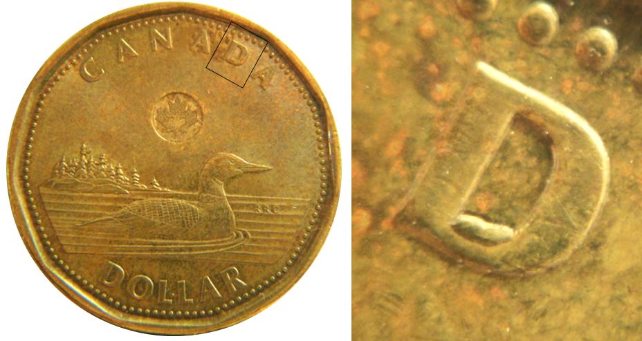 1 Dollar 2013-Éclat coin dans le D de canaDa-1.JPG