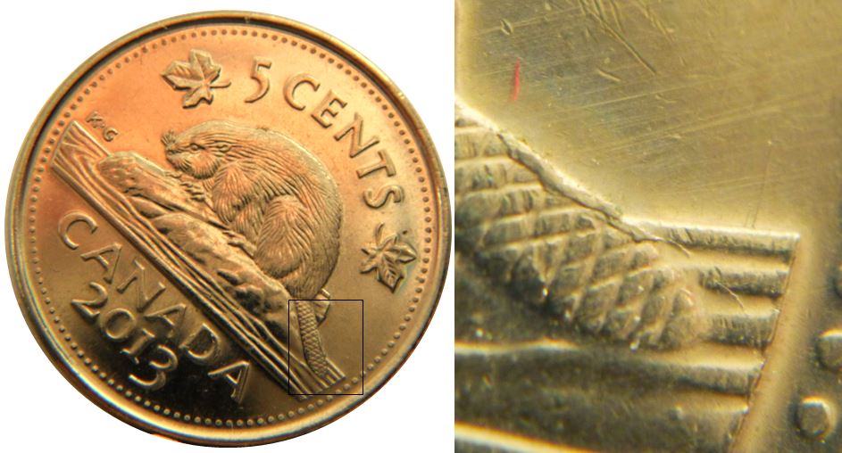 5 Cents 2013-Éclat coin sur la queue du castor-1,.JPG