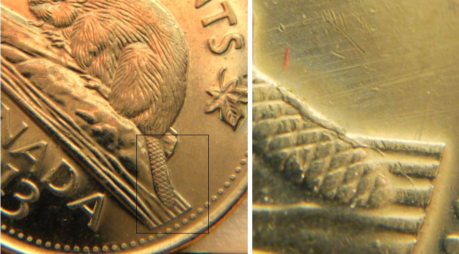 5 Cents 2013-Éclat coin sur la queue du castor-1.JPG