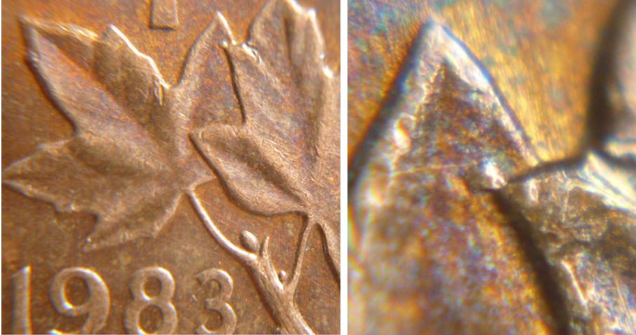 1 cent 1983 - Éclat de coin au centre des feuilles.JPG