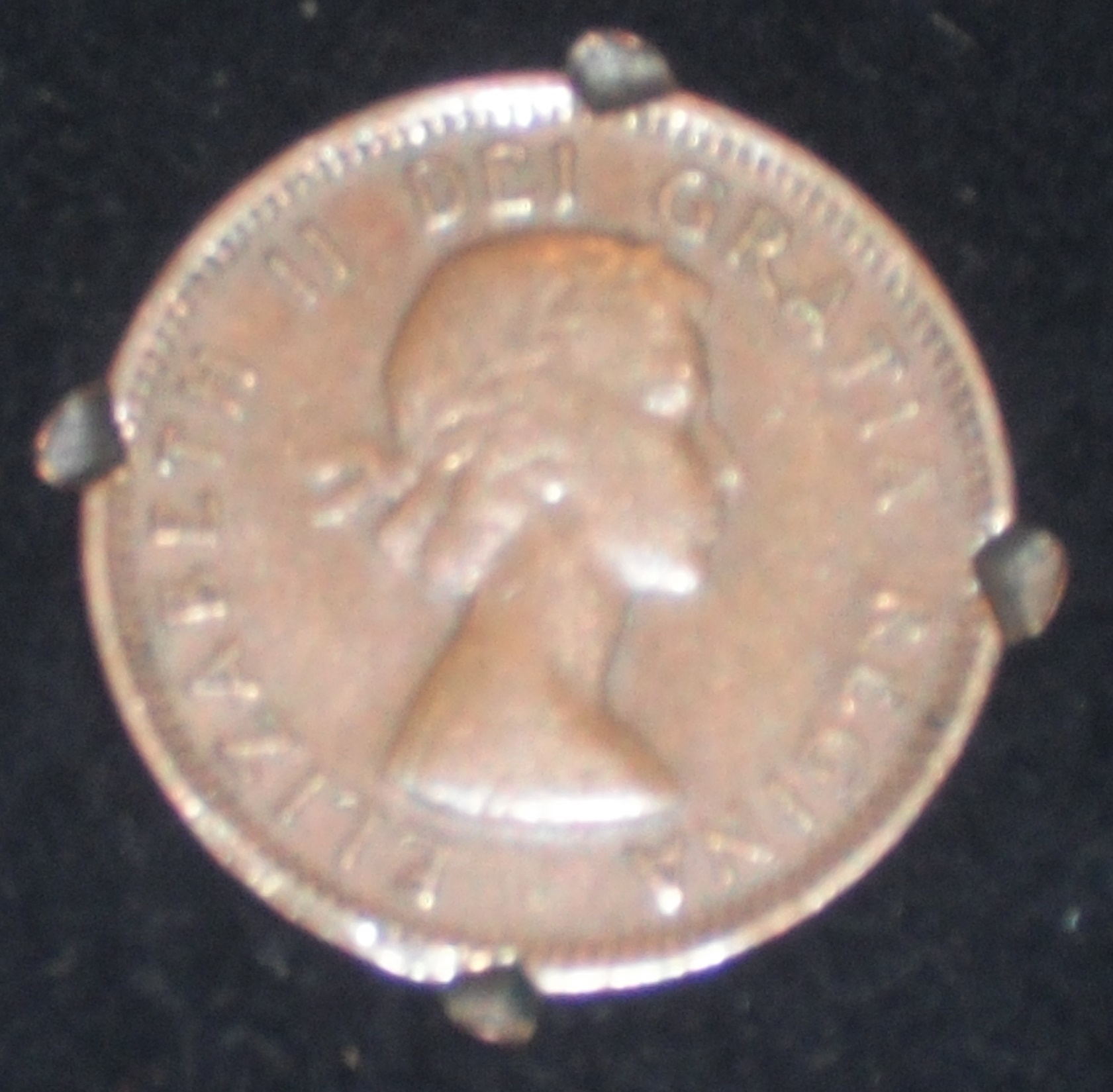 DSCF0248.JPG