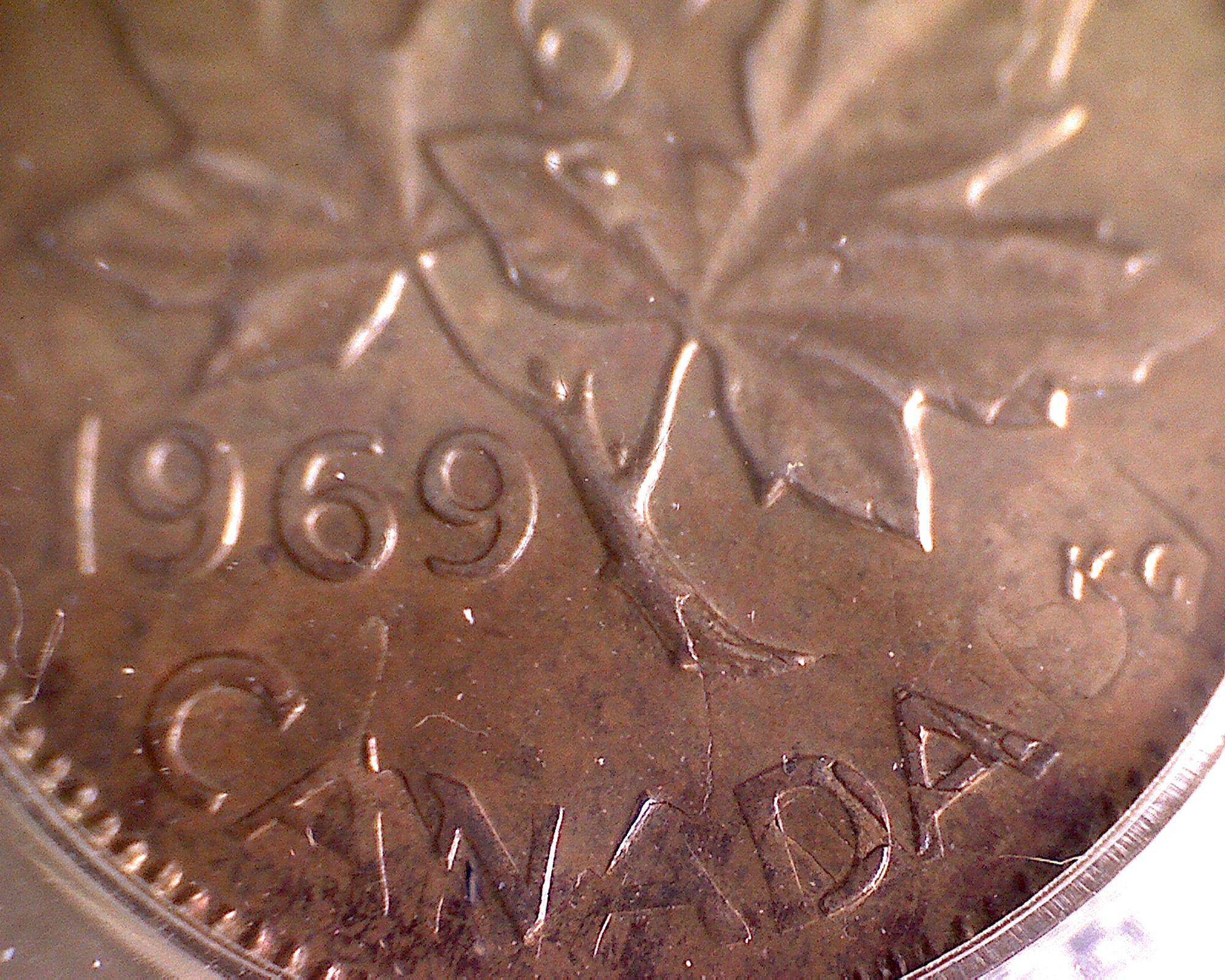 1969e.jpg