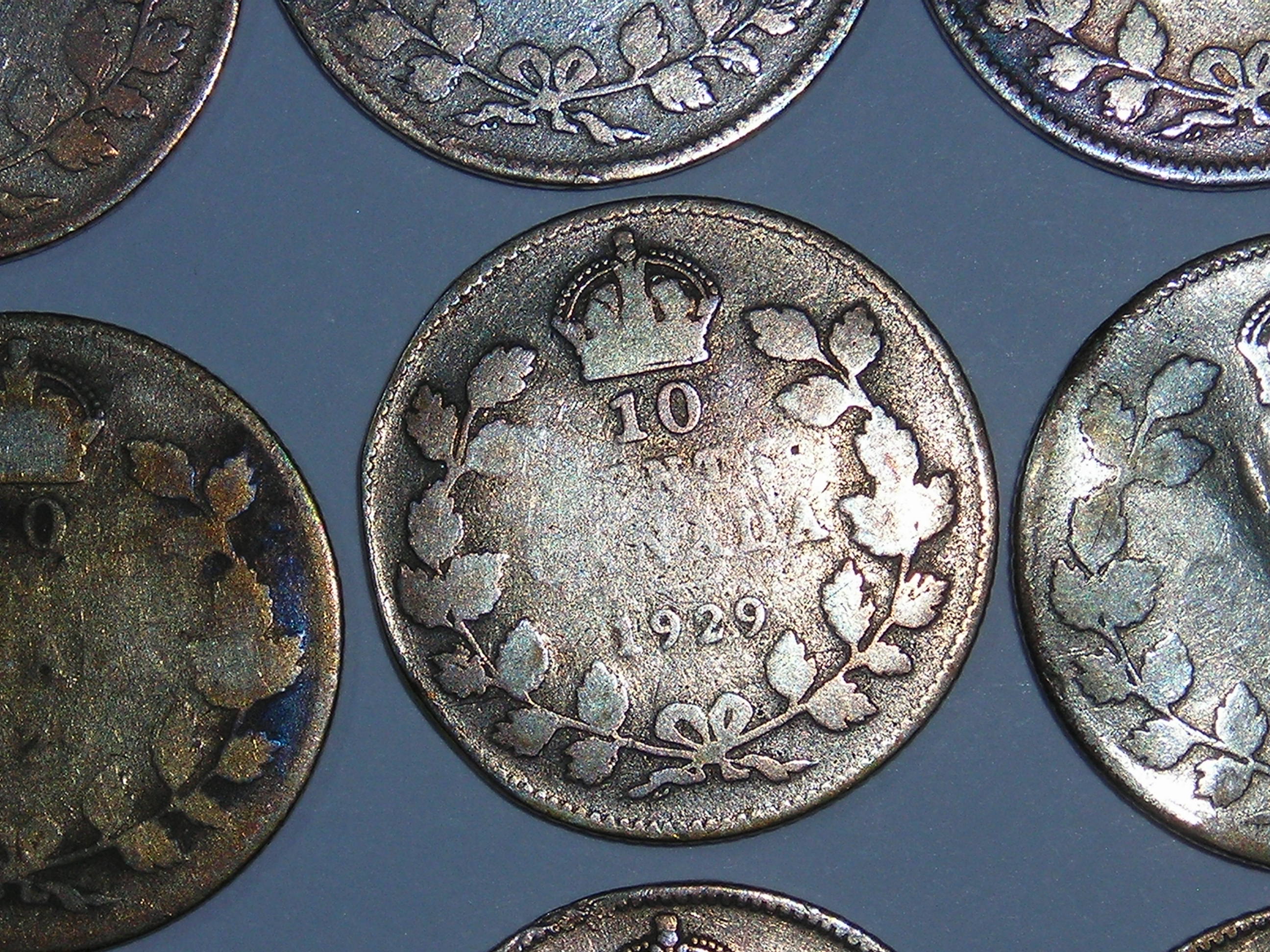 DSCN4403.JPG