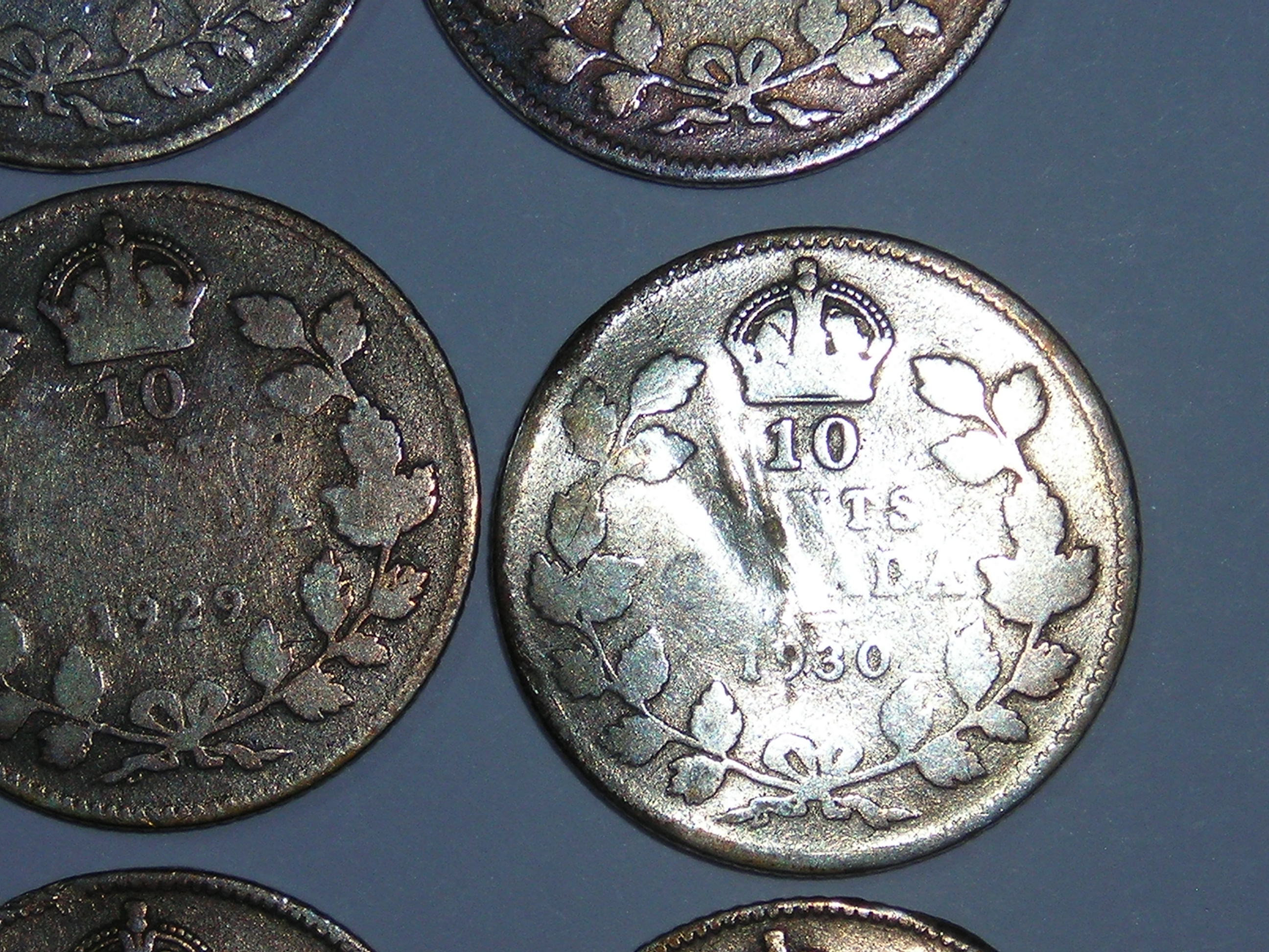 DSCN4404.JPG