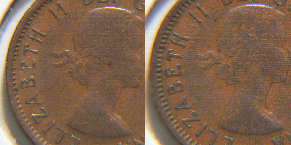 1955 b.jpg